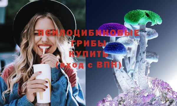 2c-b Пересвет