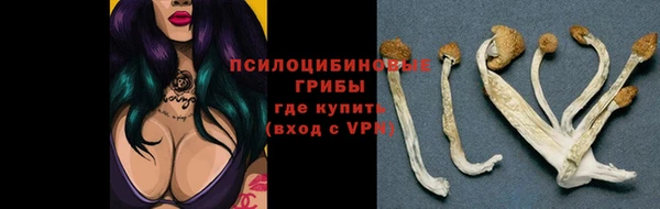 apvp Переславль-Залесский