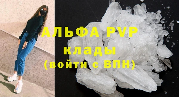 2c-b Пересвет