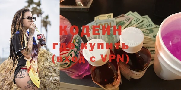 индика Воткинск