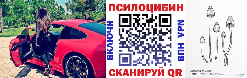 Галлюциногенные грибы Psilocybe  Бабушкин 